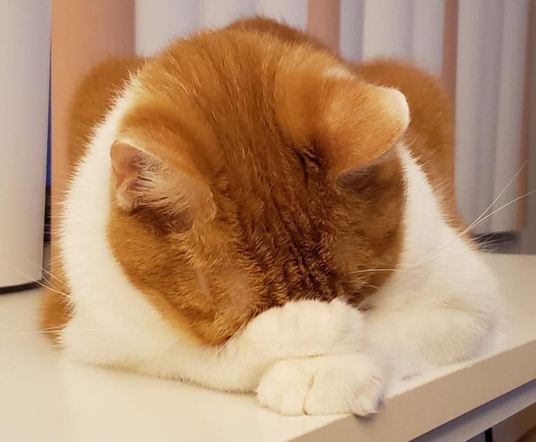 Richie had an exhausting day!