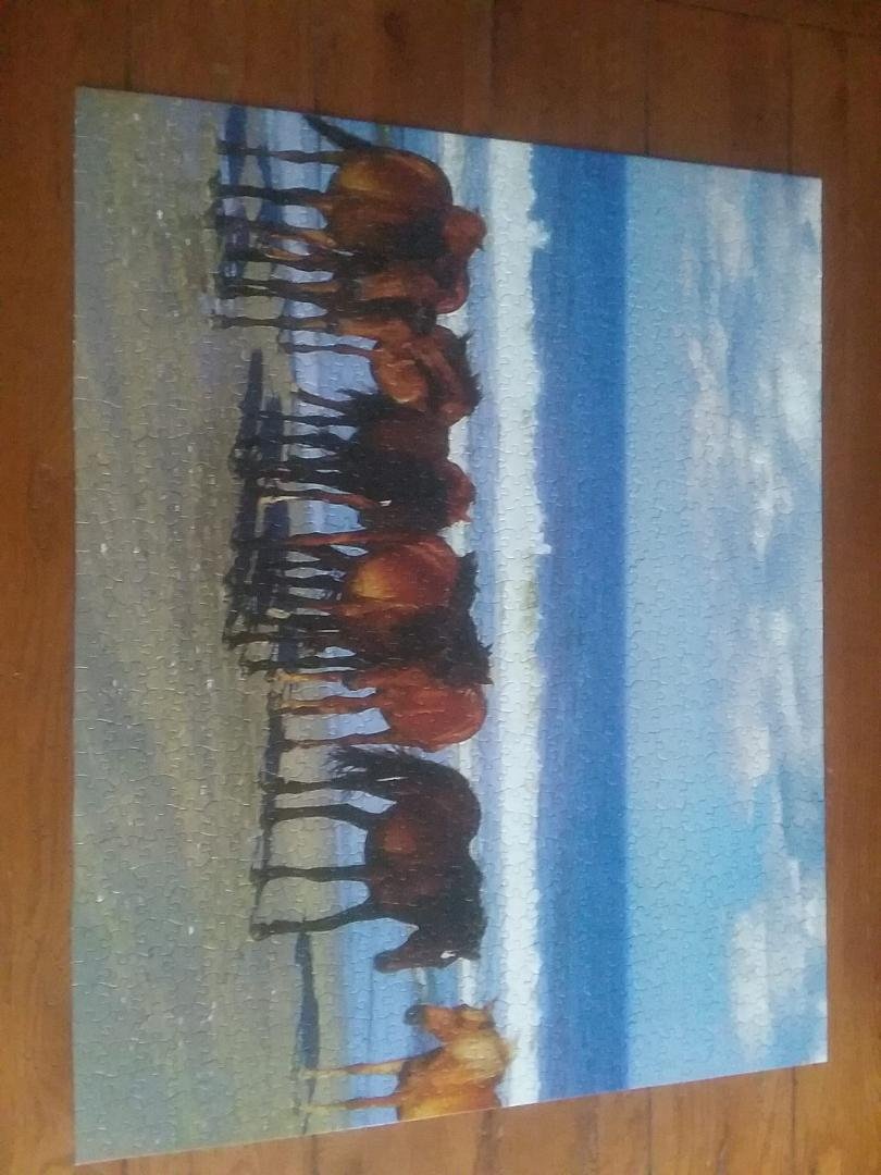 One of the hardest puzzles we have done, with all the sky and sand. 1000 pieces.