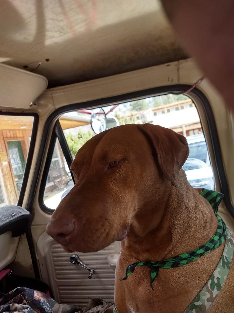 Mr Gunner with me all day today