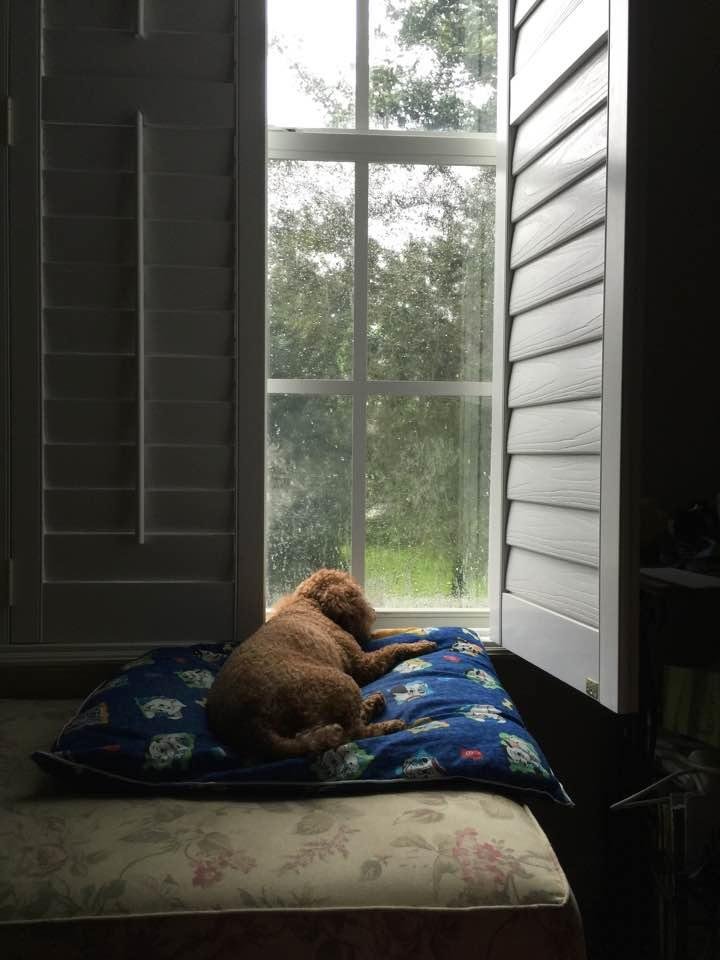 "The sun did not shine. It was too wet to play. So we sat in the house all that cold, cold, wet day."