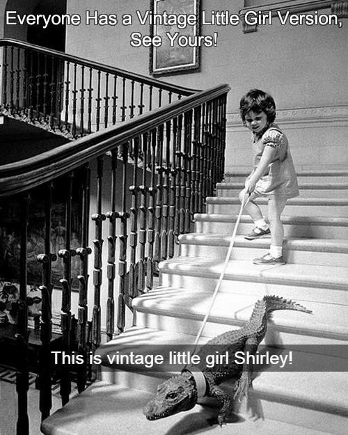 Shirley Walsh's album, Timeline photos