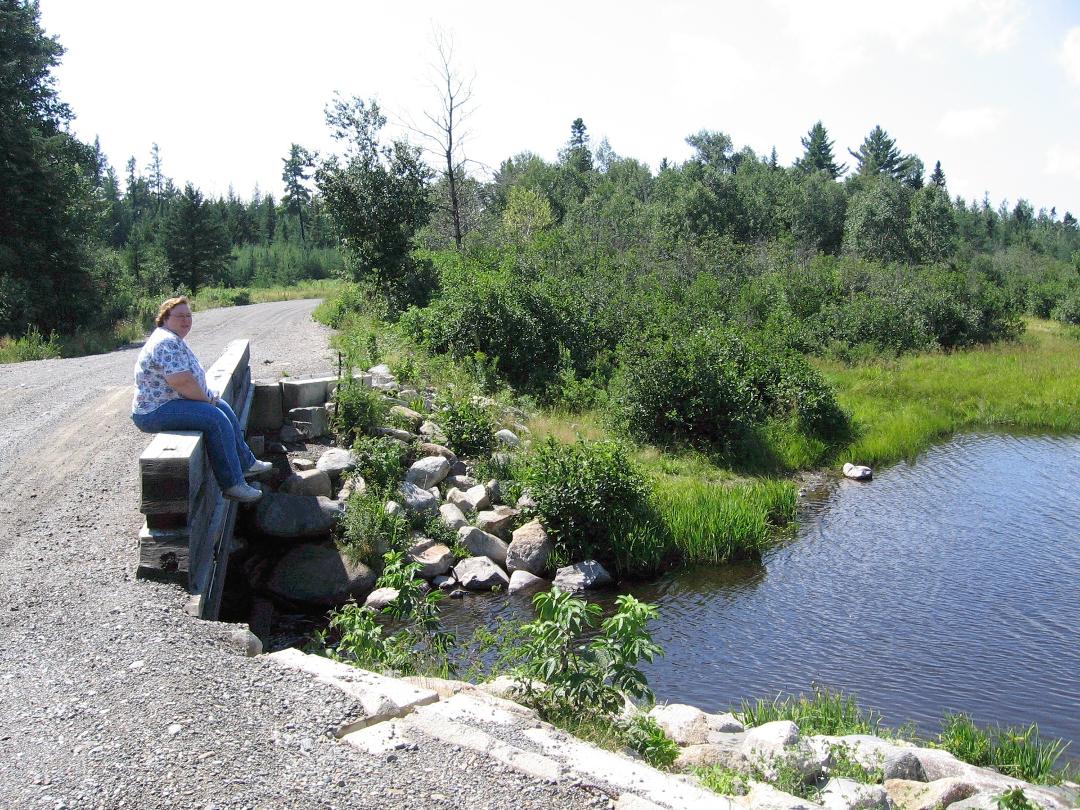 Carol and I were on a logging road, next to Moosehead Lake, hoping to see moose. No Luck, after several hours.