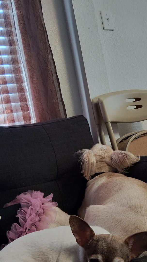 No matter where I'm at they always manage to squeeze in beside me,