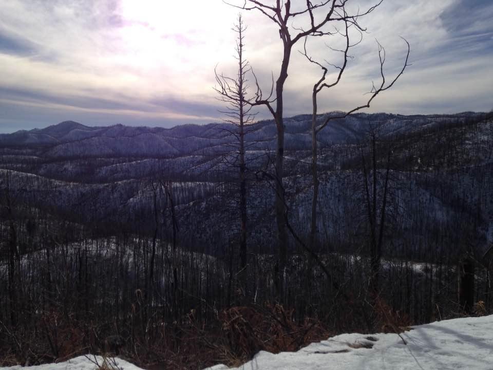 View from the road in New Mexico in Jemez mountains.