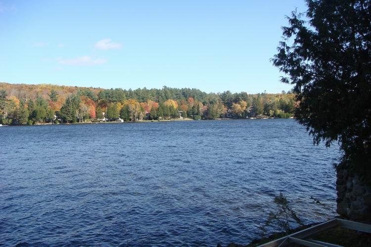 Joyce Stempkowsky's album, Lake Connolly - Thanksgiving