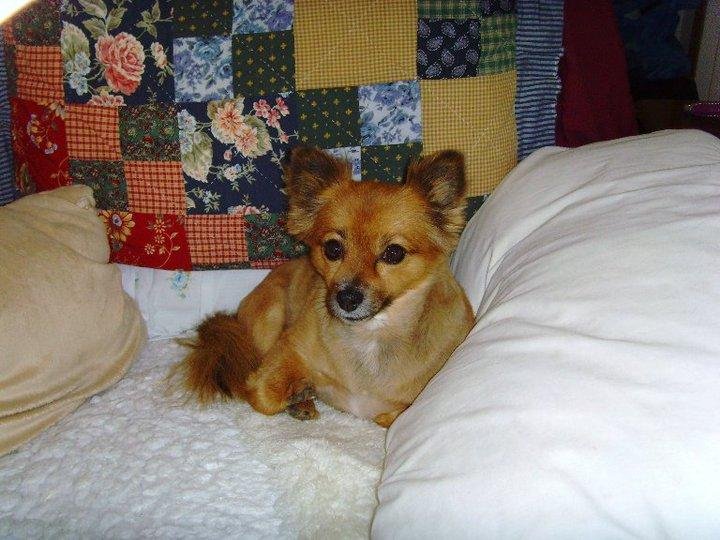 Kathy Warner's album, Sissy
