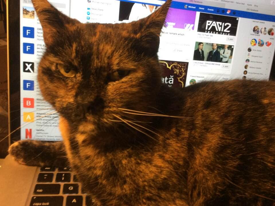Mocha
