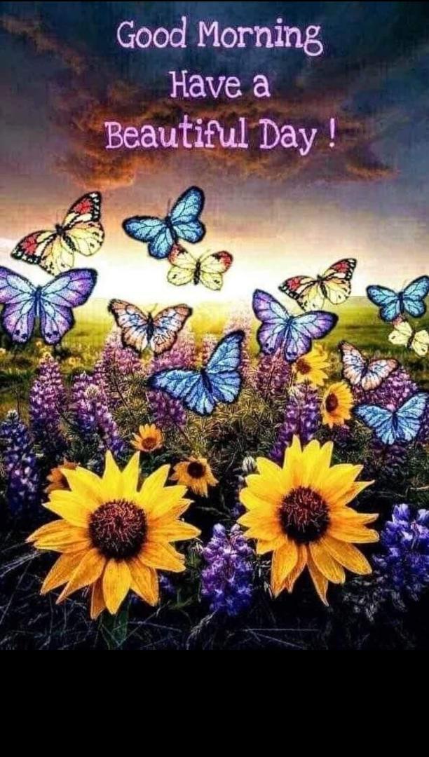 I love you just as the Father loves me; remain in my love. If you obey my commands, you will remain in my love, just as I have obeyed my Father's commands and remain in his love.
I have told you this so that my joy be in