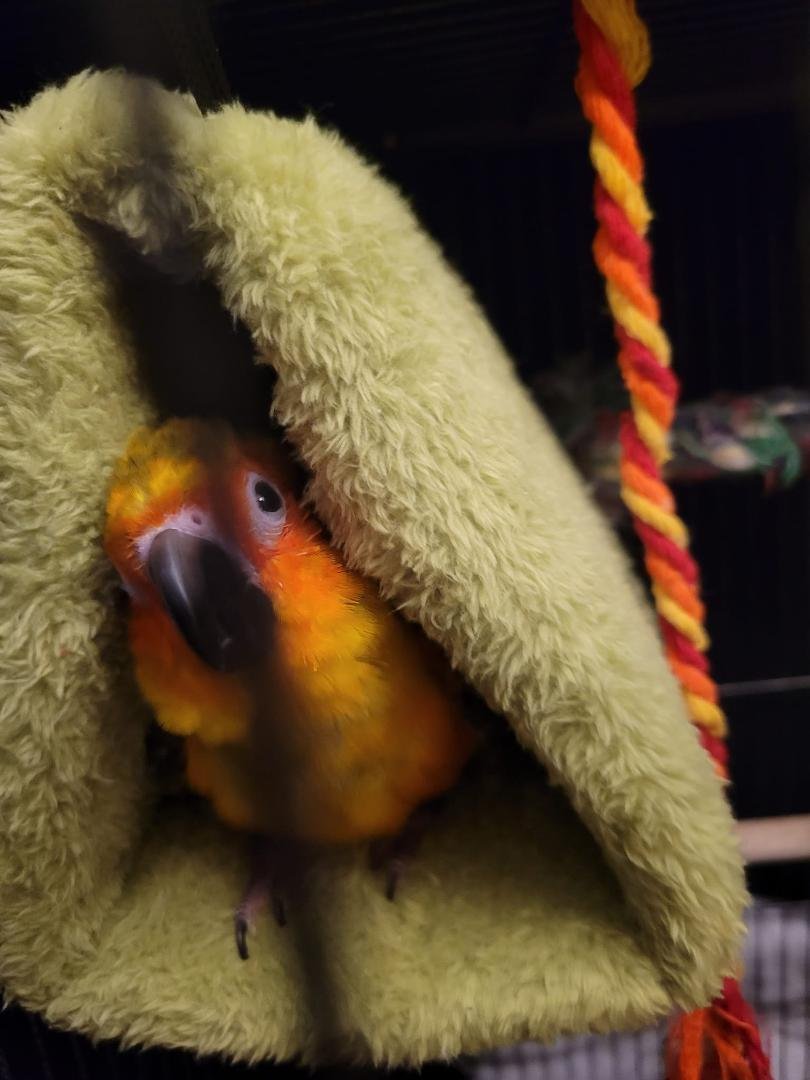 Found a little place, a snuggly place...
