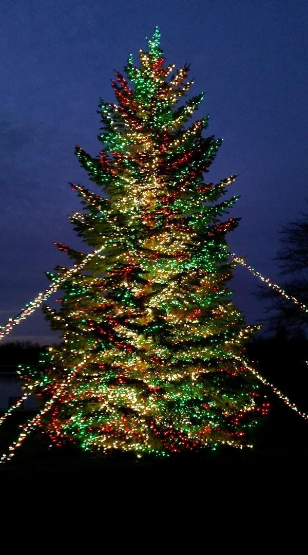 A perfect way to start the Christmas season...Beautiful lights and a Winter Wonderland at the Chicago Botanic Gardens