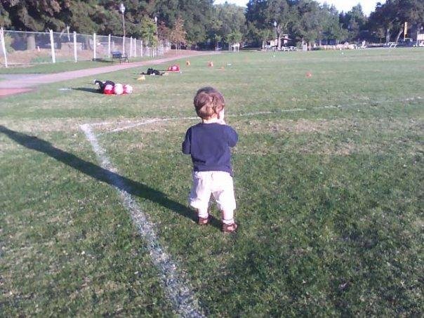 Field of Dreams?