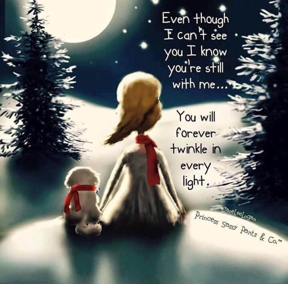Merry Christmas Eve, Greg! ❤️😪💚😪