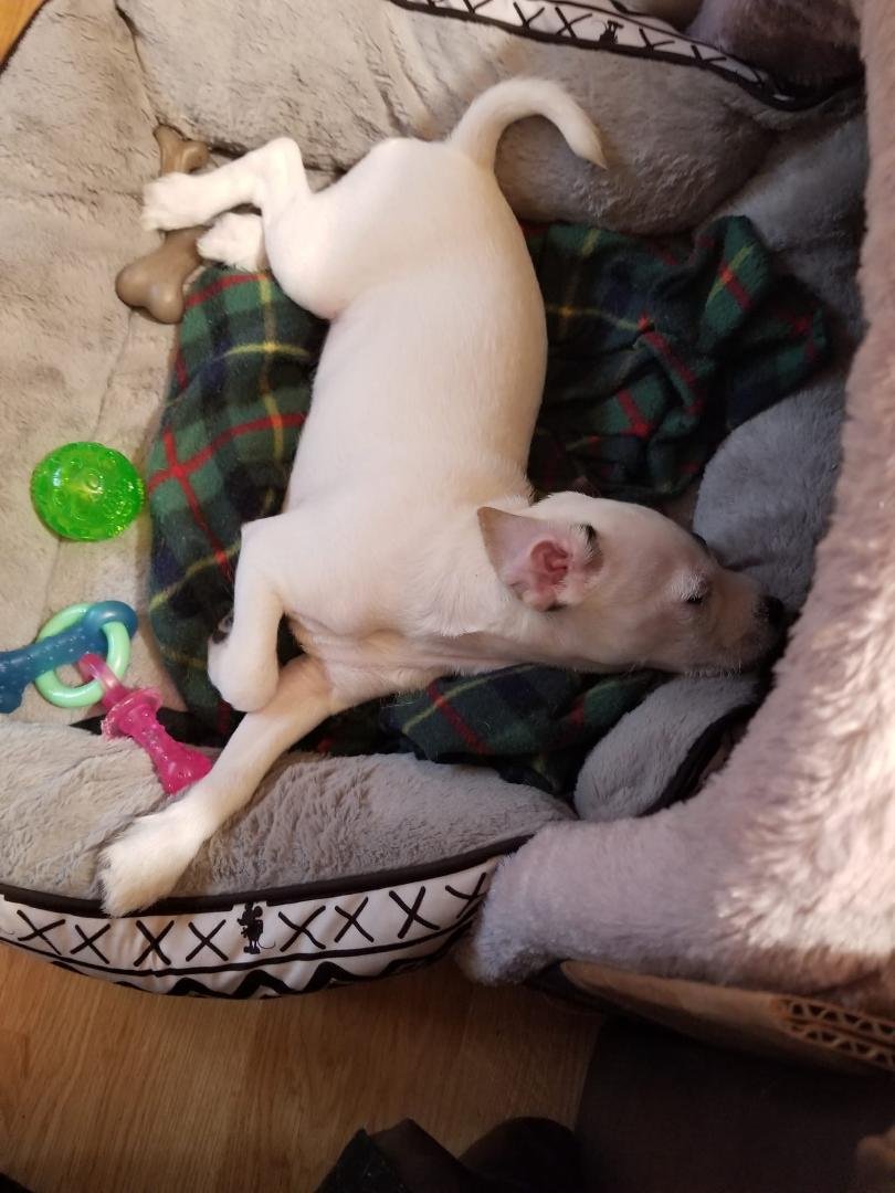 ROXY'S chill photo of the day