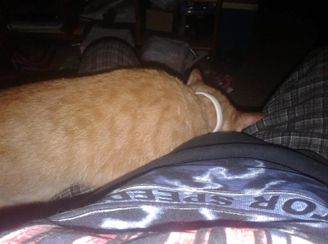 Fast asleep!