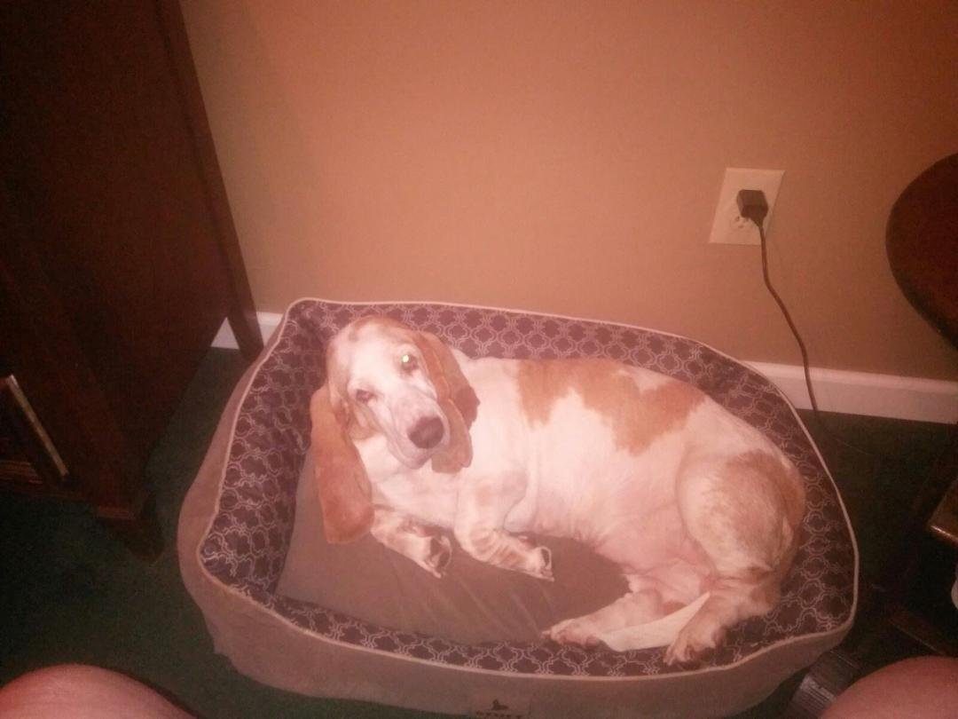 Mandy loves her new bed