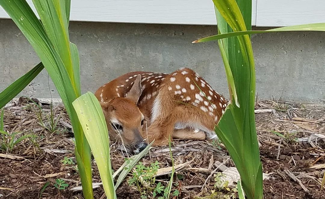 See what I found next to our house today.
