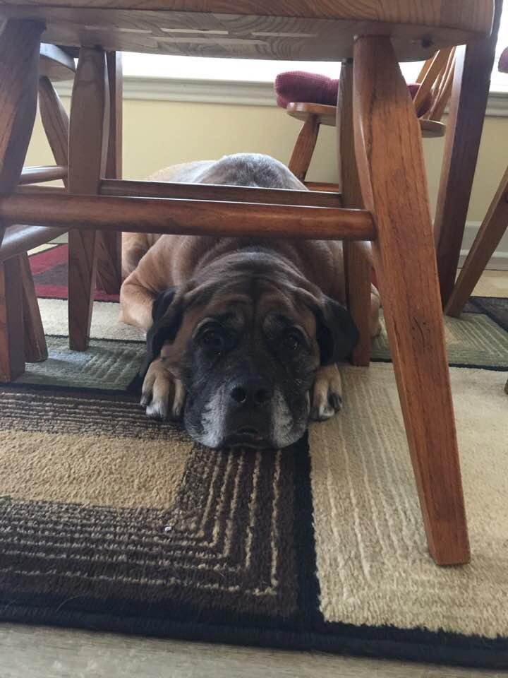 Jenny didn’t want us to leave today. Happy Easter all.