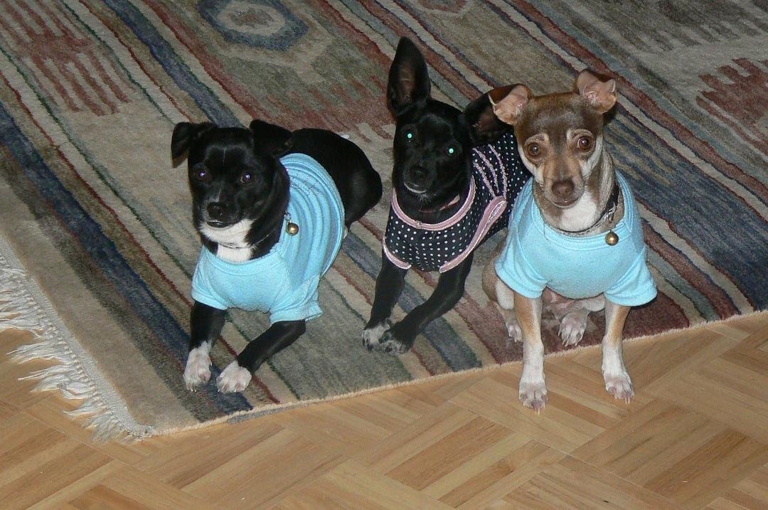 We heard that your a great cook?? Samples please