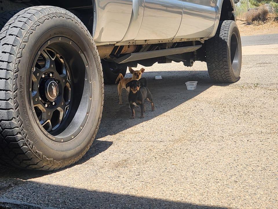 These guys are lost in littlerock 80th est