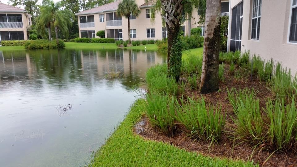 Now I'm asking myself, "why didn't we buy on the second floor".  Water getting closer to our lanai and from what we've heard the streets are all under water. No not Texas, Naples Florida. Looks like more rain on the way.