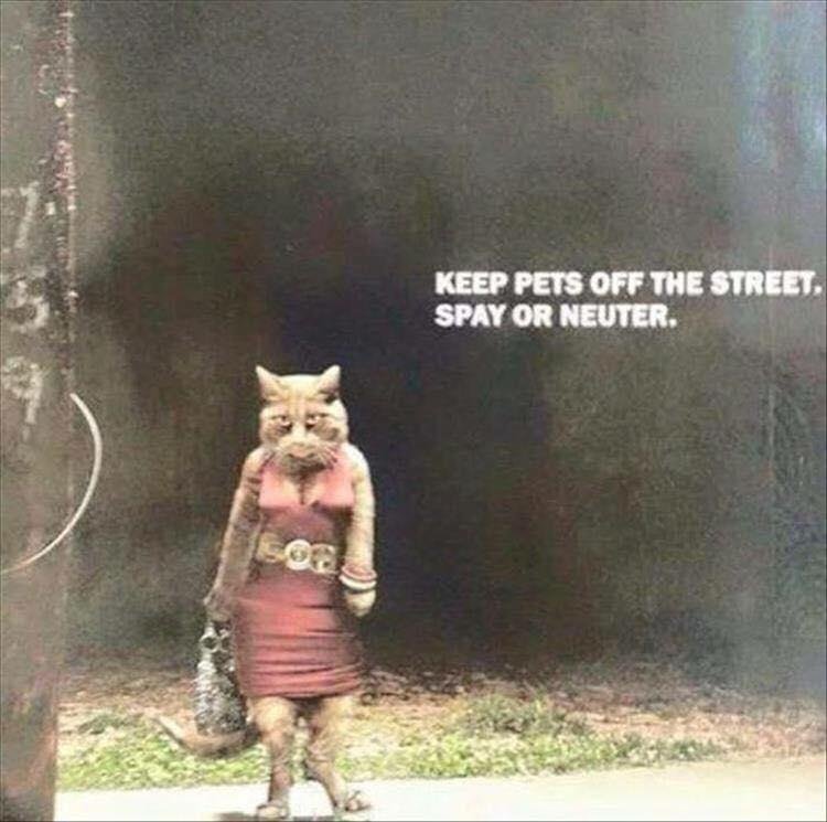 🤣🤪😂
