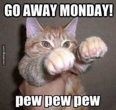 Good Afternoon! How is everyone doing on this beautiful Monday? I hope everyone is truly enjoying the beautiful weather we are having in New Hampshire.