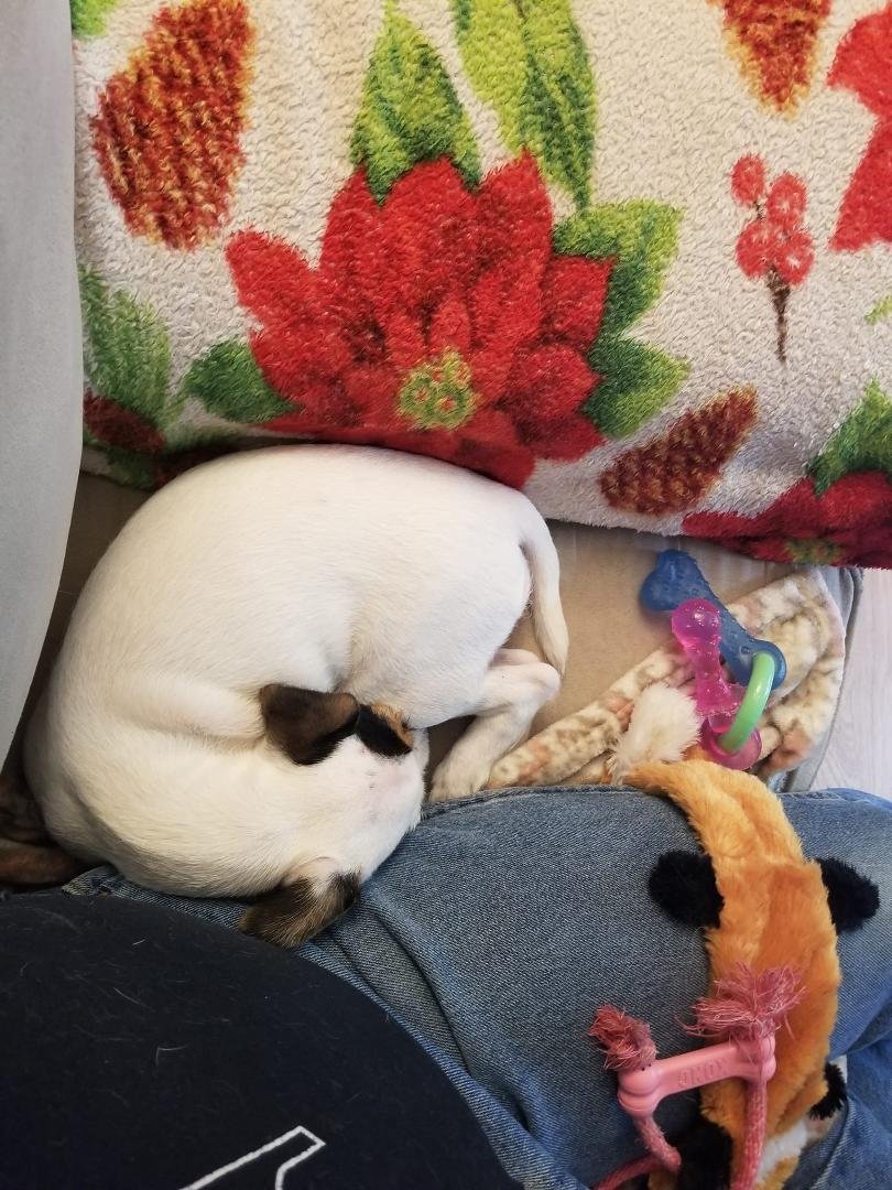 ROXY'S chill photo of the day