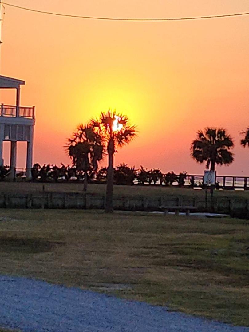 I had to wait until the perfect time when the sun was setting behind a palm tree at Treasure Point last night. Elvis and I go every day so he can read his pee-mail and leave a few replies!