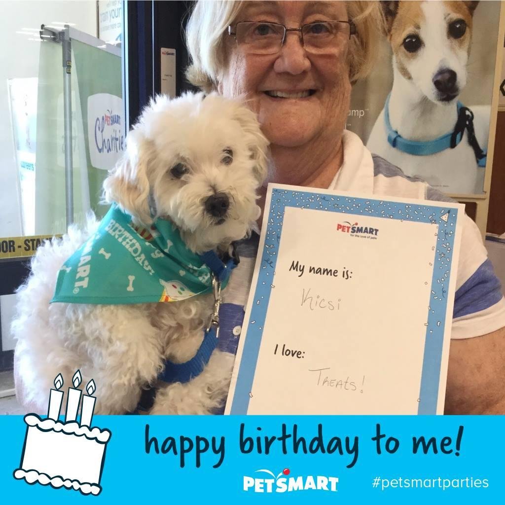 It was Kisci's birthday today. He is 11. He had a hamburger for lunch and a steak for dinner. Took him to the puppy store (Pet Smart) for fun. He also had carrots. He also got a massage from me. And , no he is not spoiled.