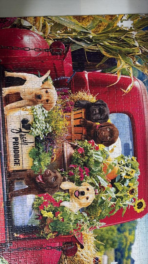 Finished puzzle. Margaret Grannis put in the last pieces.