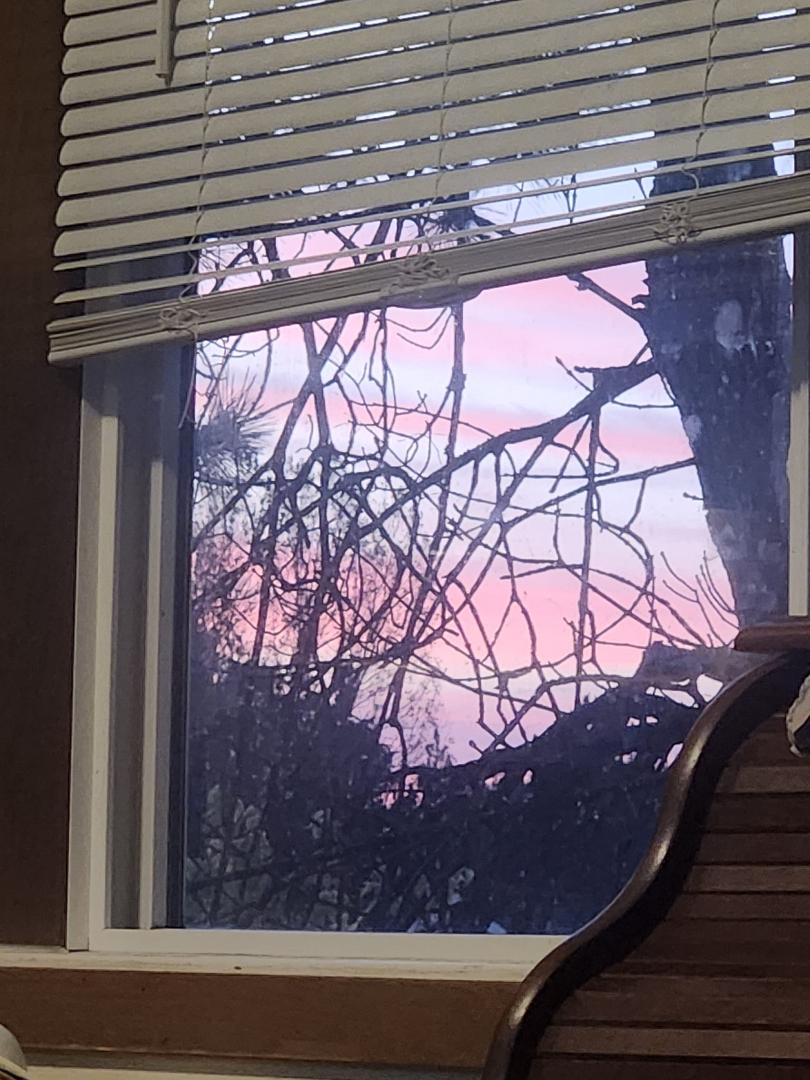 My morning view