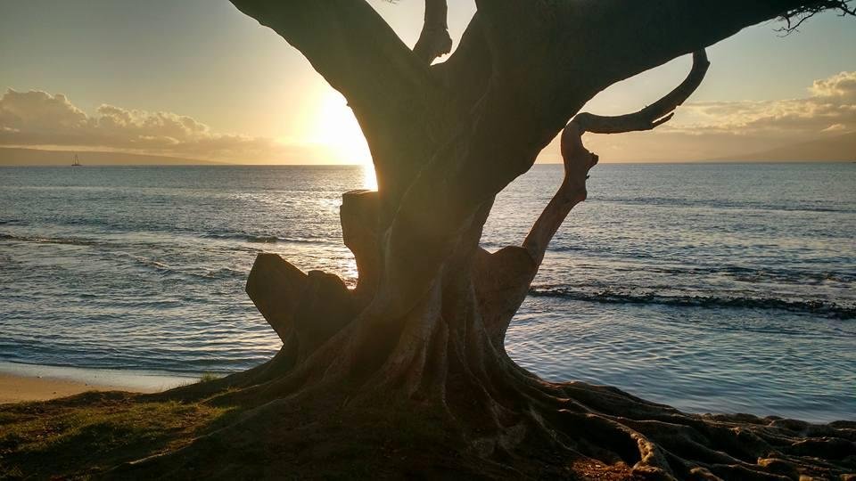 David Howard's album, Mobile Uploads