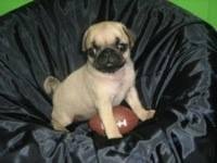 We pick her up June 7th.