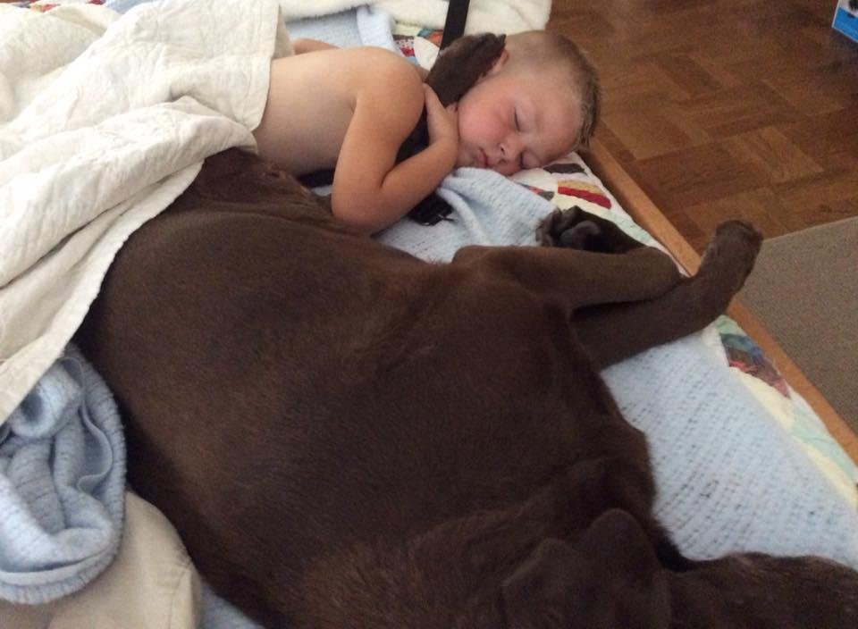 Lincoln and Maggie enjoying National Dog Day