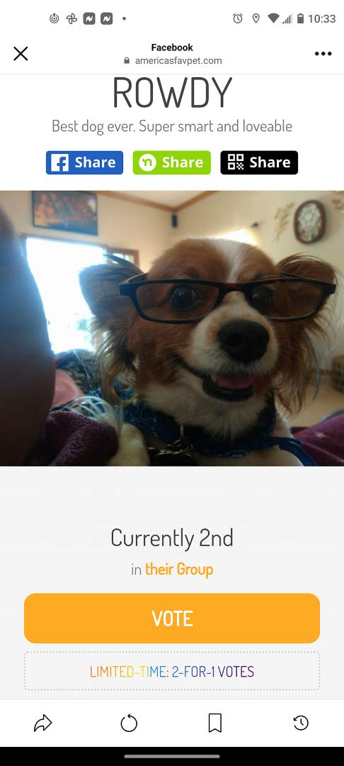 Rowdy is currently in 2nd Place. Keep the votes coming, we can do this.
Thank you