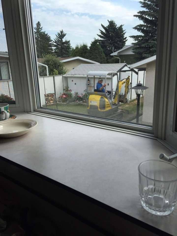 Tearing up the back yard