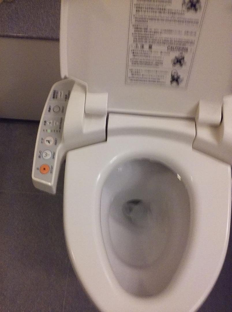 Too bad you can't read the info - warm seat, bidet, spray, etc. You wanted pictures!