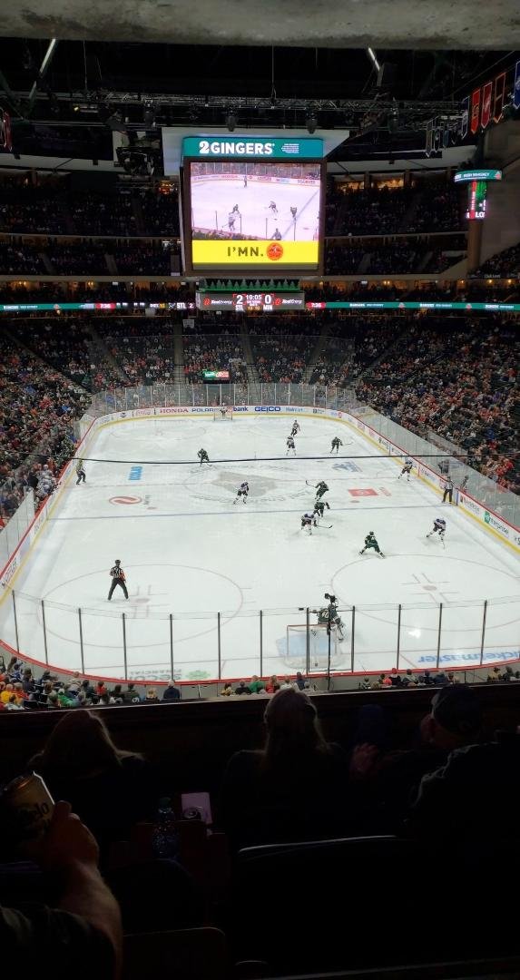 Minnesota Wild looking for a point!