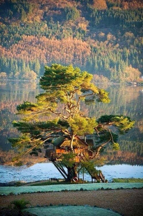 Christopher Lang's album, Timeline photos