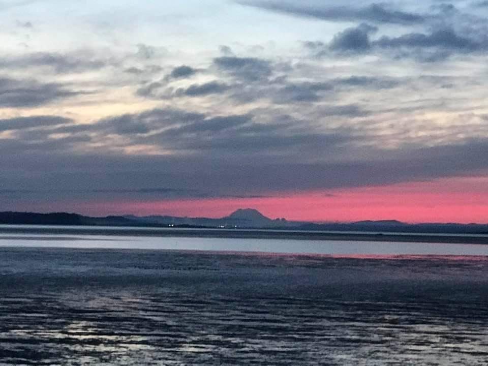 Morning! 
Rise and Shine!!
Tide is out and it’s coming back soon!