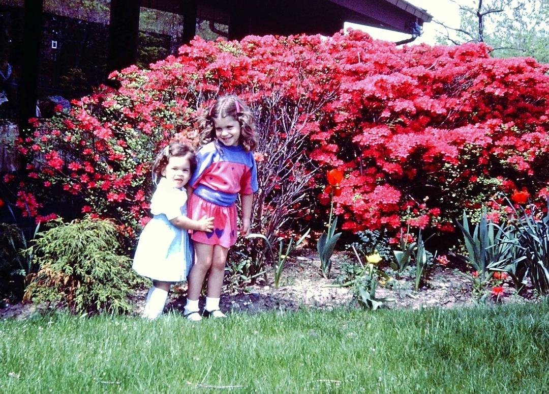 TBT -
