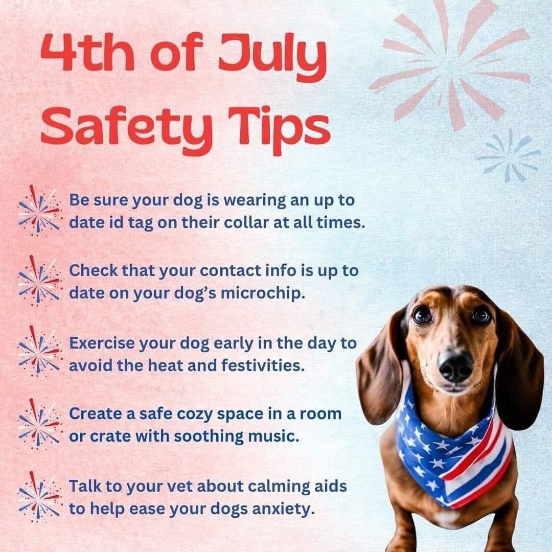 Don't forget ... our pets hear the booms too.🎆 My Marley is petrified of the noise.