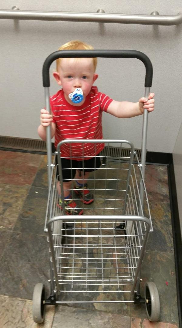 My little helper, once the elevator fear was gone.