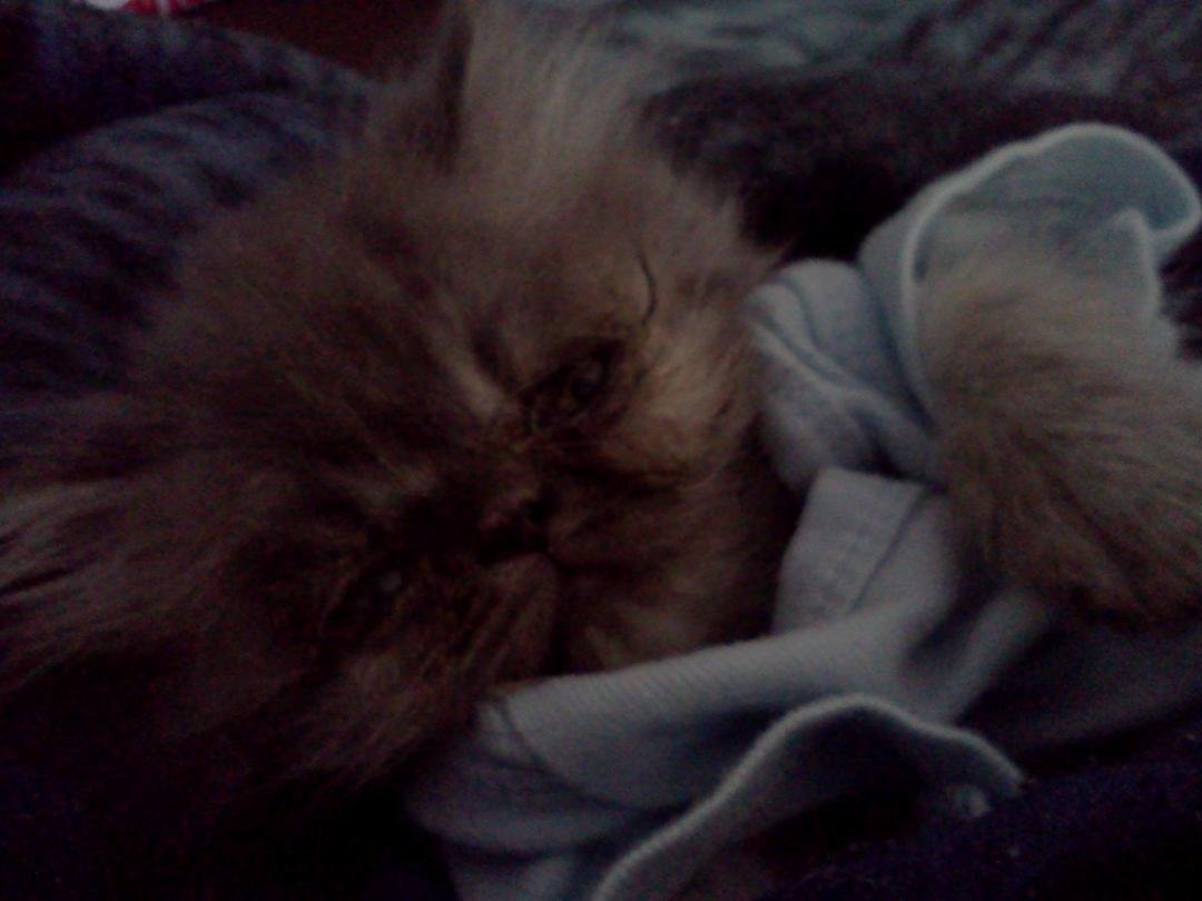 Stormy just waking up!