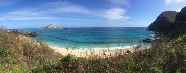Vic Lowes' album, IncrediMail Social Connect Photos