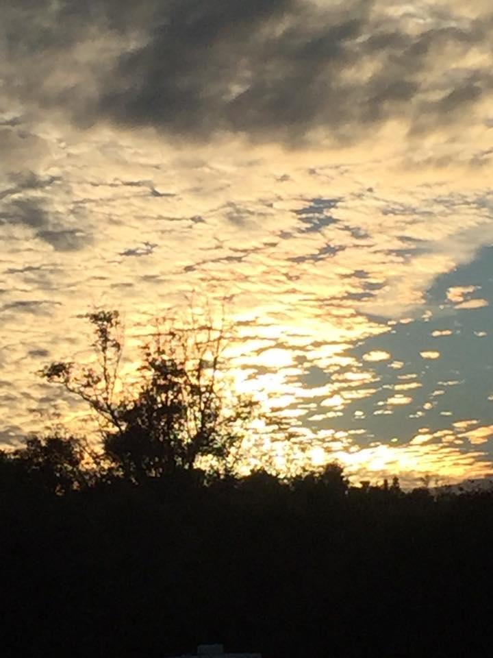 Kim Hicks' album, Mobile Uploads