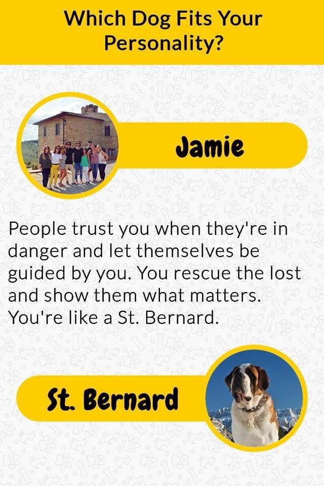 Which Dog Fits Your Personality?