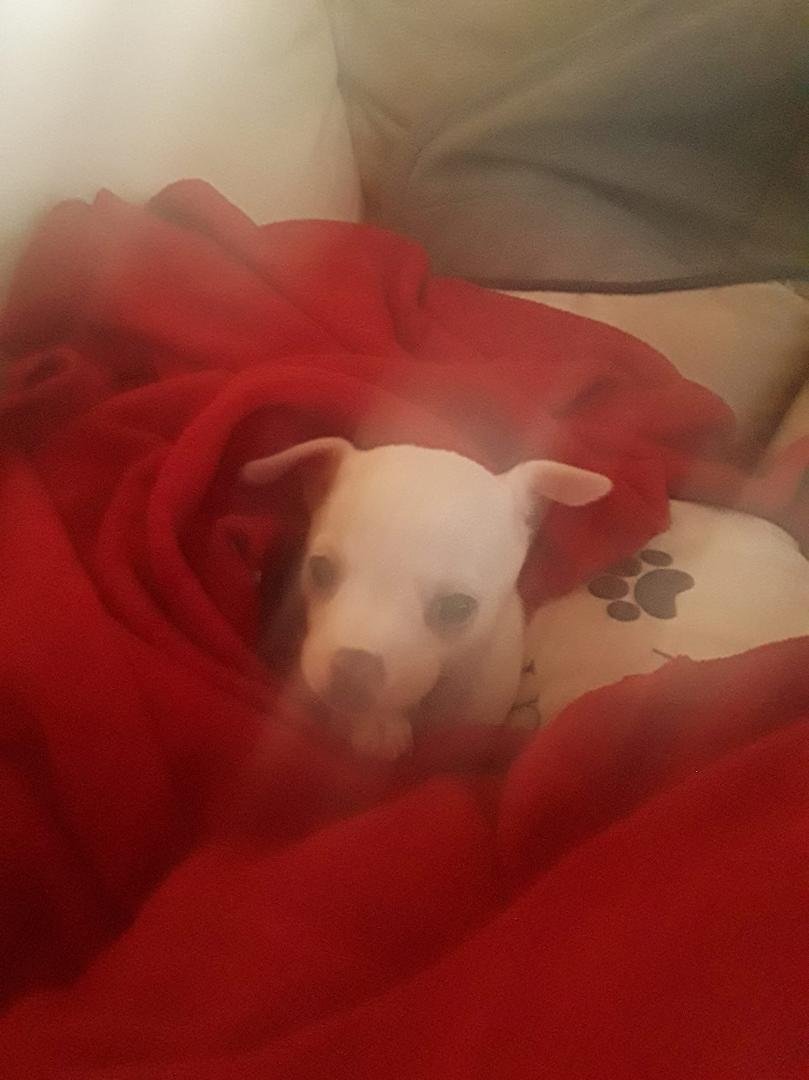 My newest edition to me any my kids family Fendi Marie Redd??? I love this baby