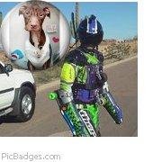 Todd Born's album, PicBadges Photos