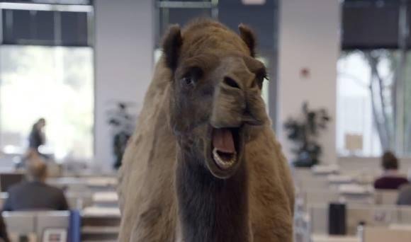 Mike Mike Mike Mike, What day is it.....